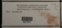 Image Associated With the Occurence